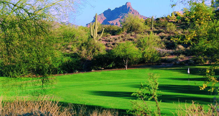 Desert Canyon Golf Course Review Fountain Hills AZ | Meridian CondoResorts