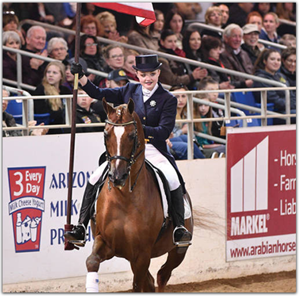 largeHOURSE Arabian Horse Show Events in Scottsdale