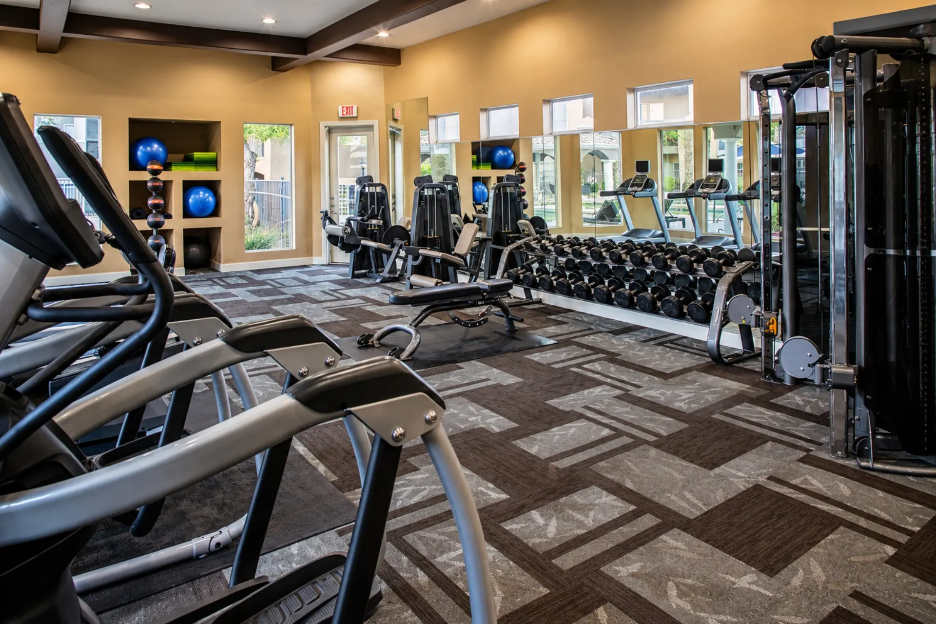 Fitness