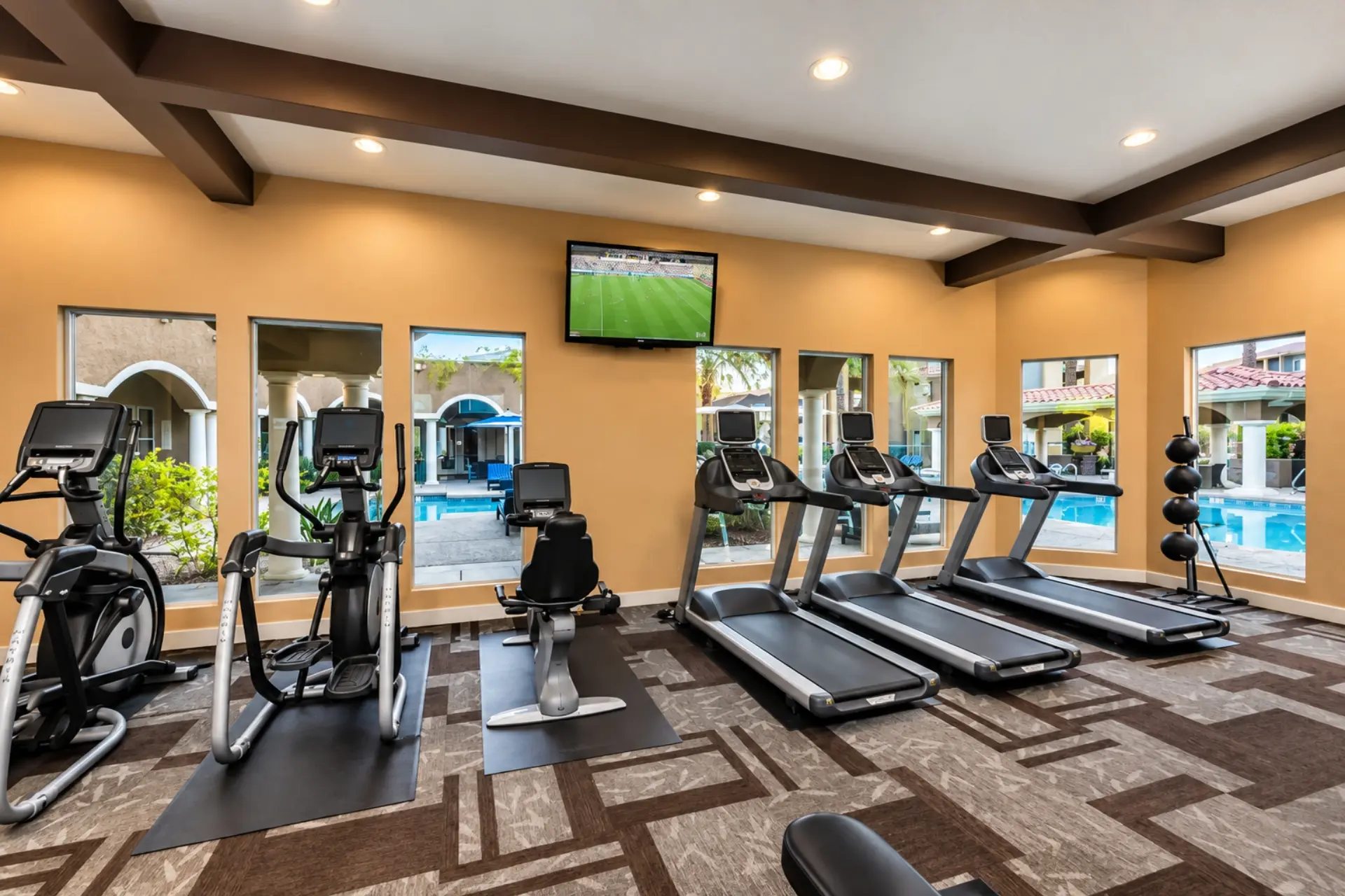 Fitness