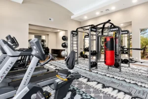 Fitness
