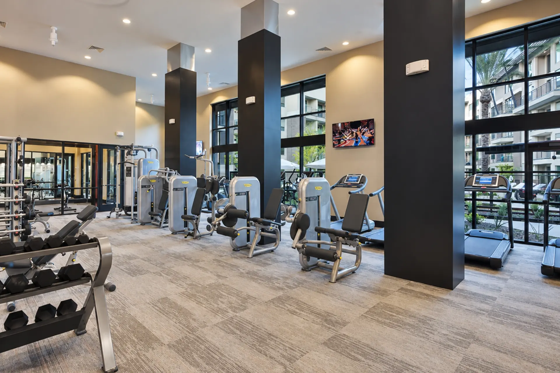 Fitness