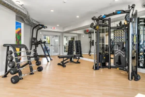 Fitness