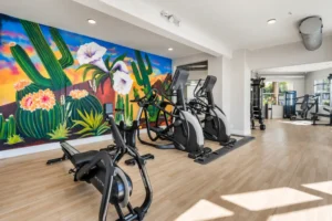 Fitness