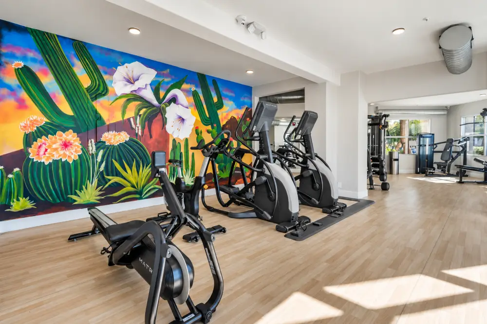 Fitness
