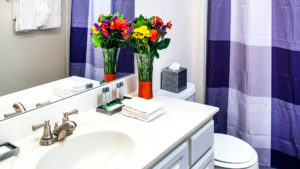 One-Bedroom, One-Bathroom-01