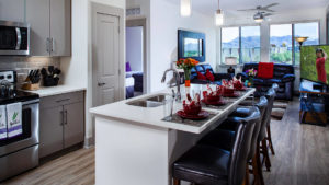 Two-Bedroom, Two-Bathroom-04