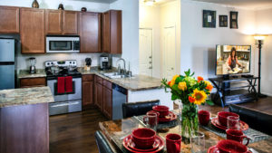 Two-Bedroom Luxury Condo Scottsdale AZ