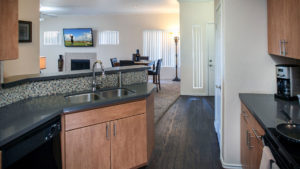 Two-Bedroom, Two-Bathroom-11