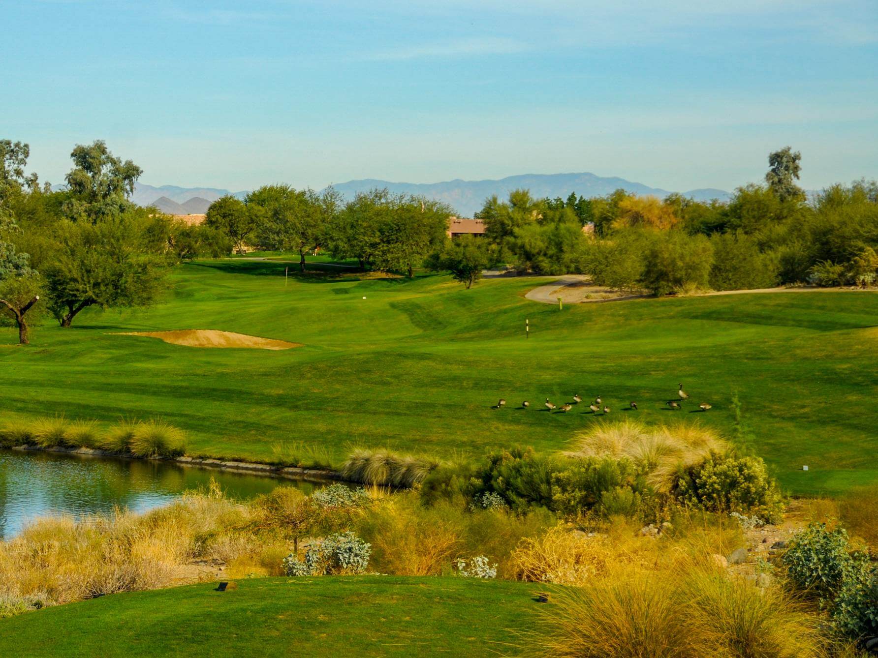 Coyote Lakes Golf Club , Surprise , Arizona Golf course information