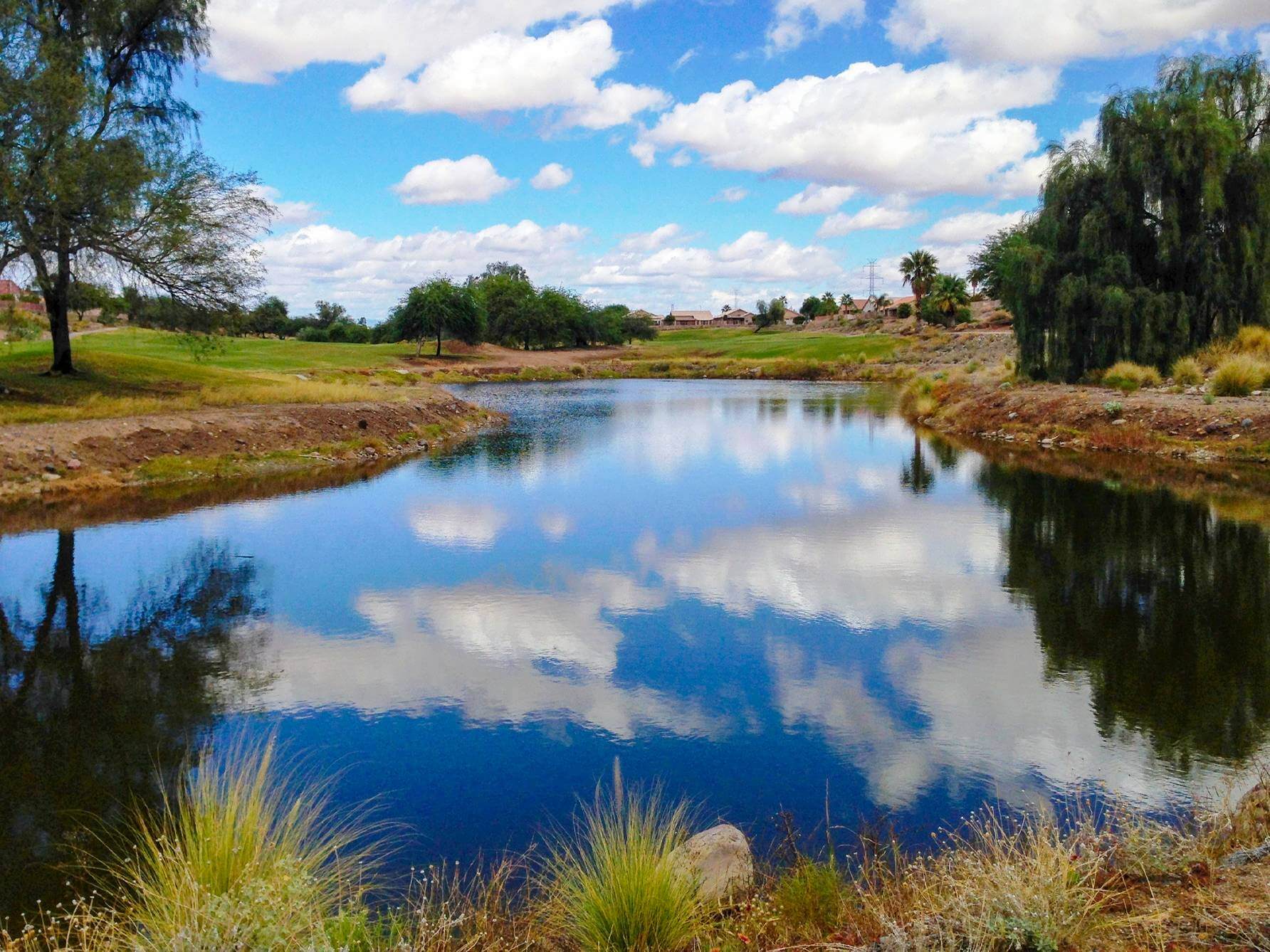 Coyote Lakes Golf Course Review Surprise AZ Meridian CondoResorts