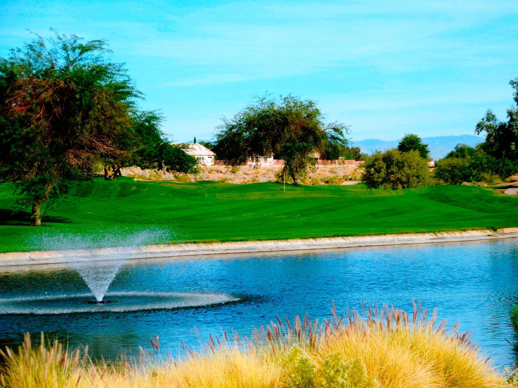 Coyote Lakes Golf Course Review Surprise AZ Meridian CondoResorts