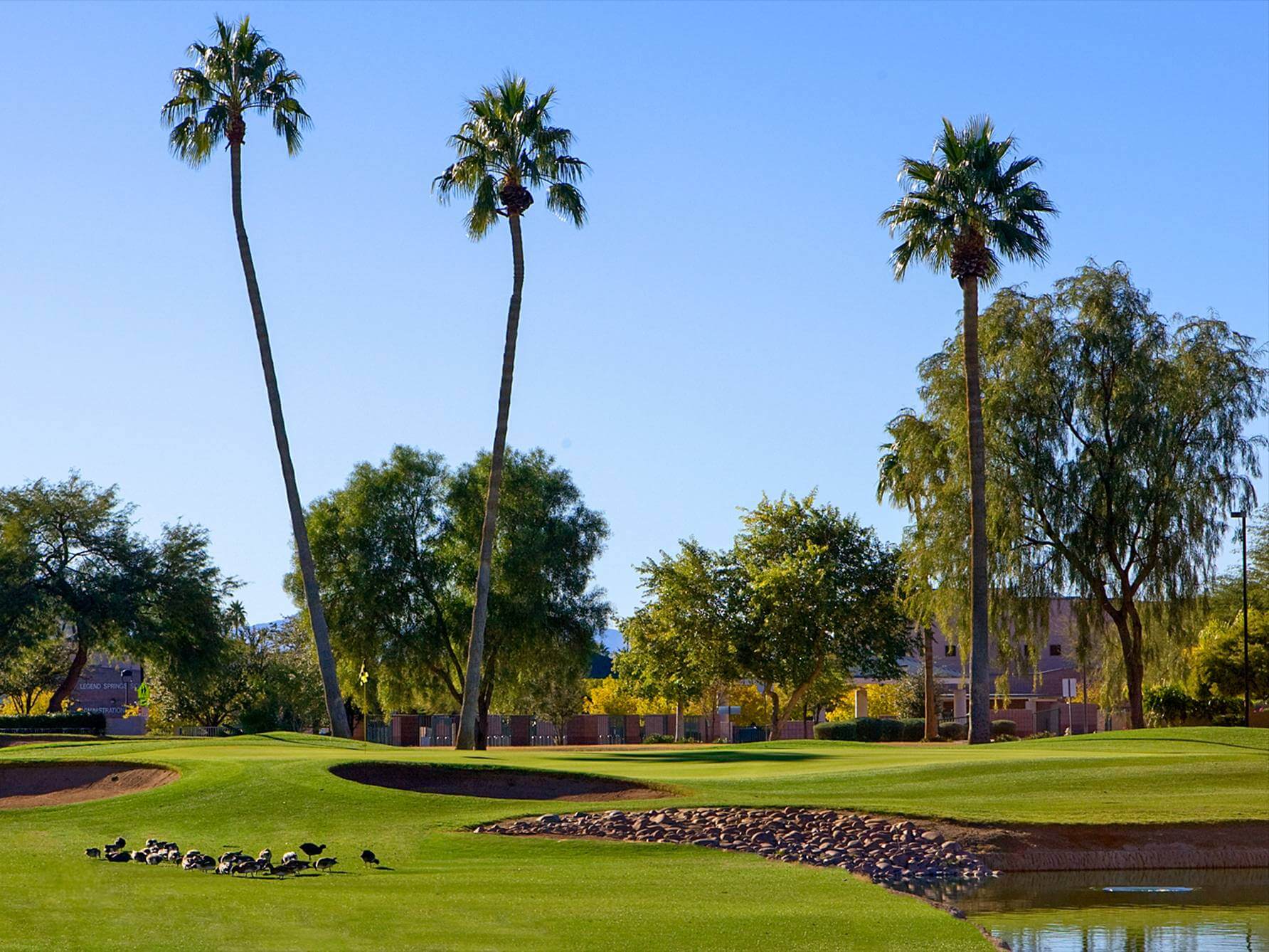 Legend at Arrowhead Golf Course Review Glendale AZ Meridian CondoResorts