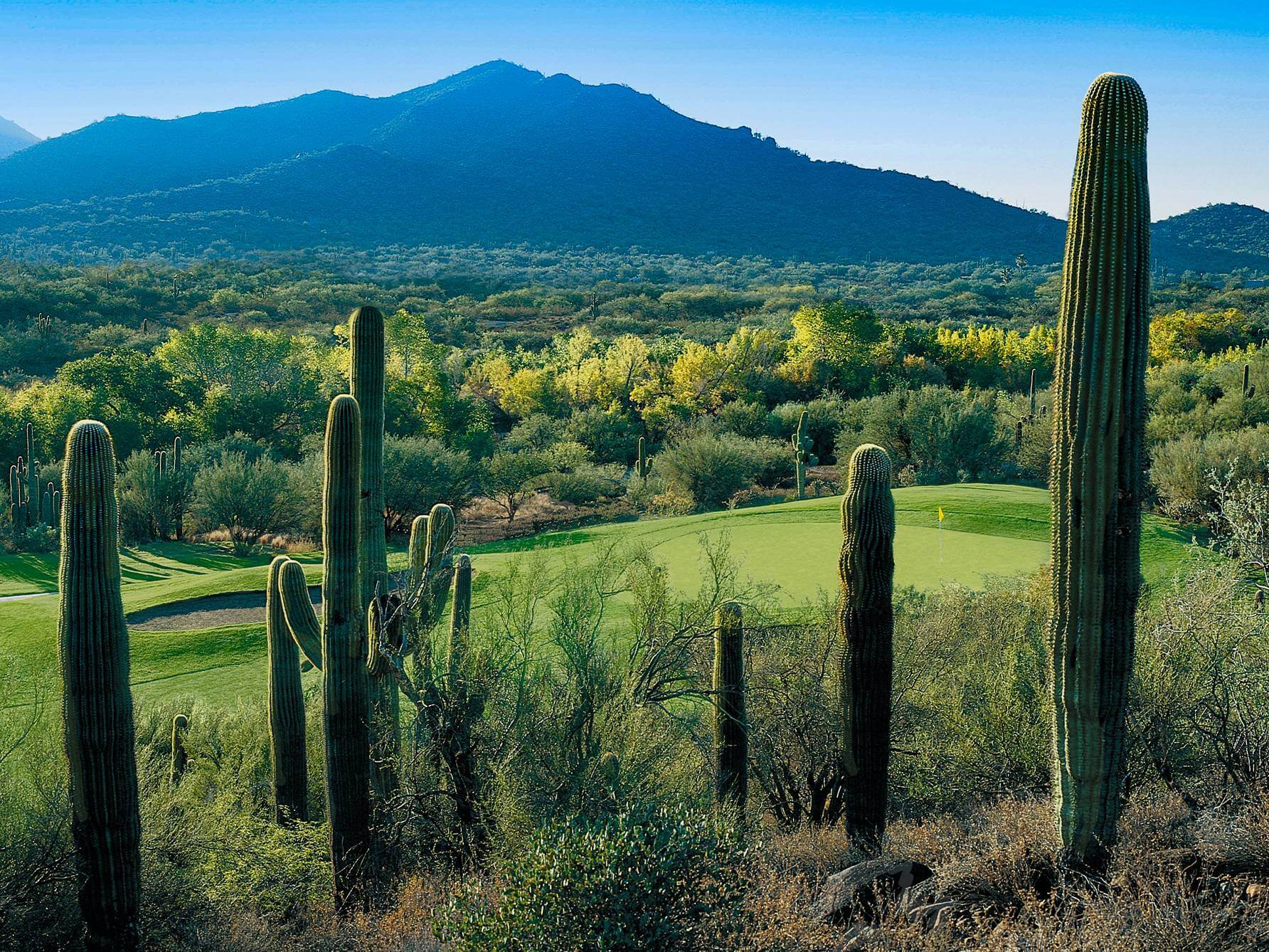 Rancho Manana Golf Course Review Cave Creek AZ Meridian CondoResorts