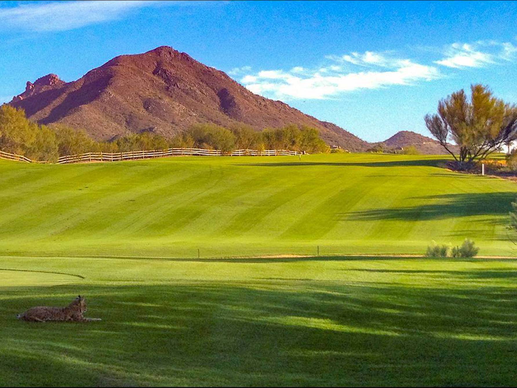 Rancho Manana Golf Course Review Cave Creek AZ Meridian CondoResorts