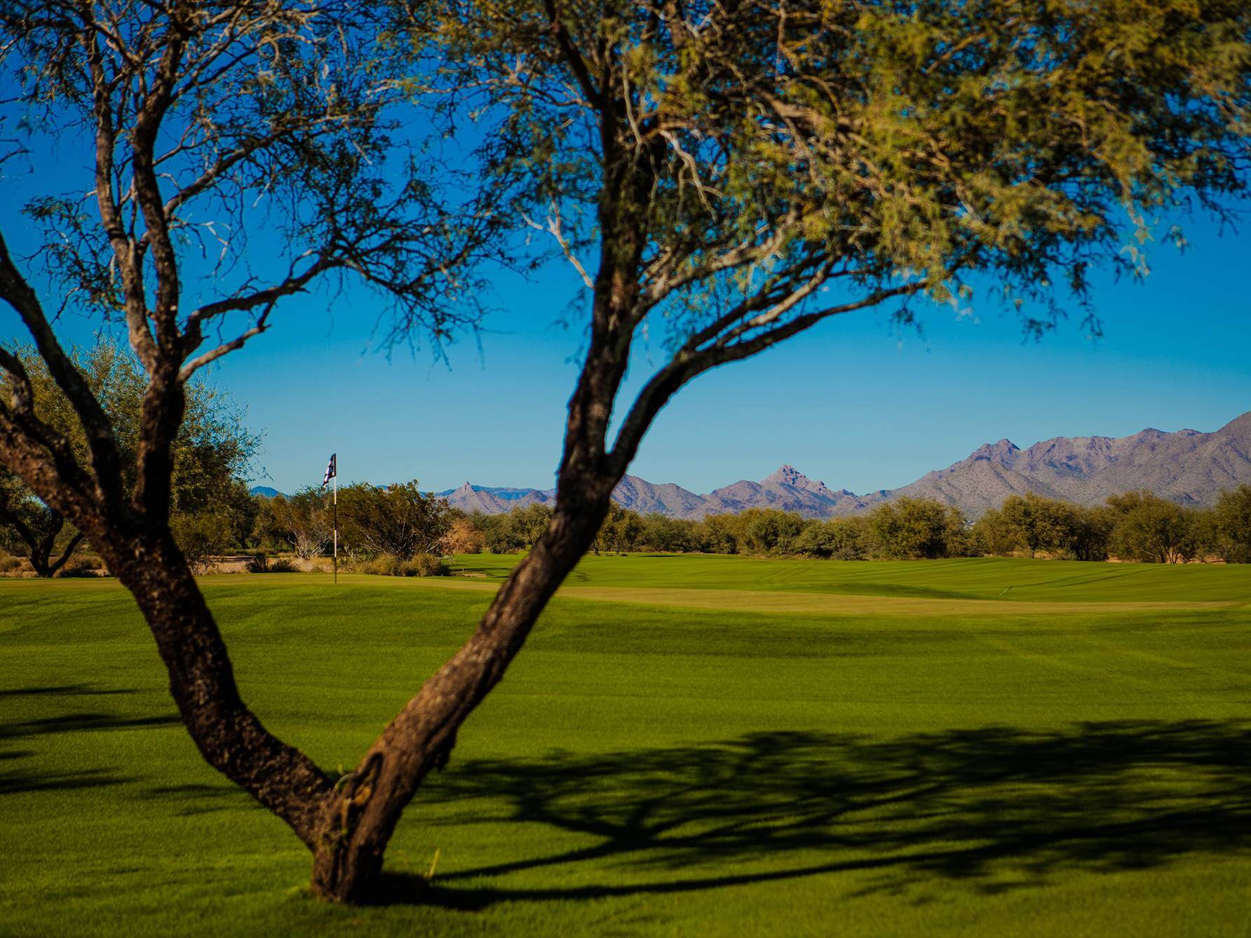 Talking StickO'odham Golf Course Review Scottsdale AZ Meridian