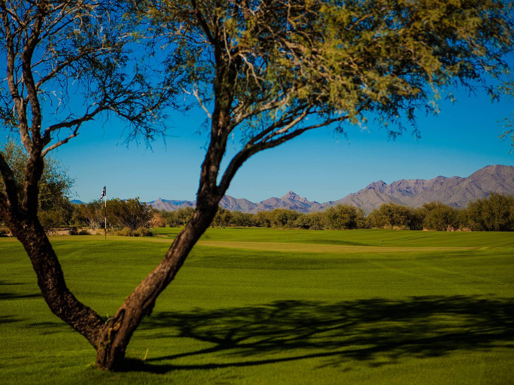 Talking StickPiipaash Golf Course Review Scottsdale AZ Meridian