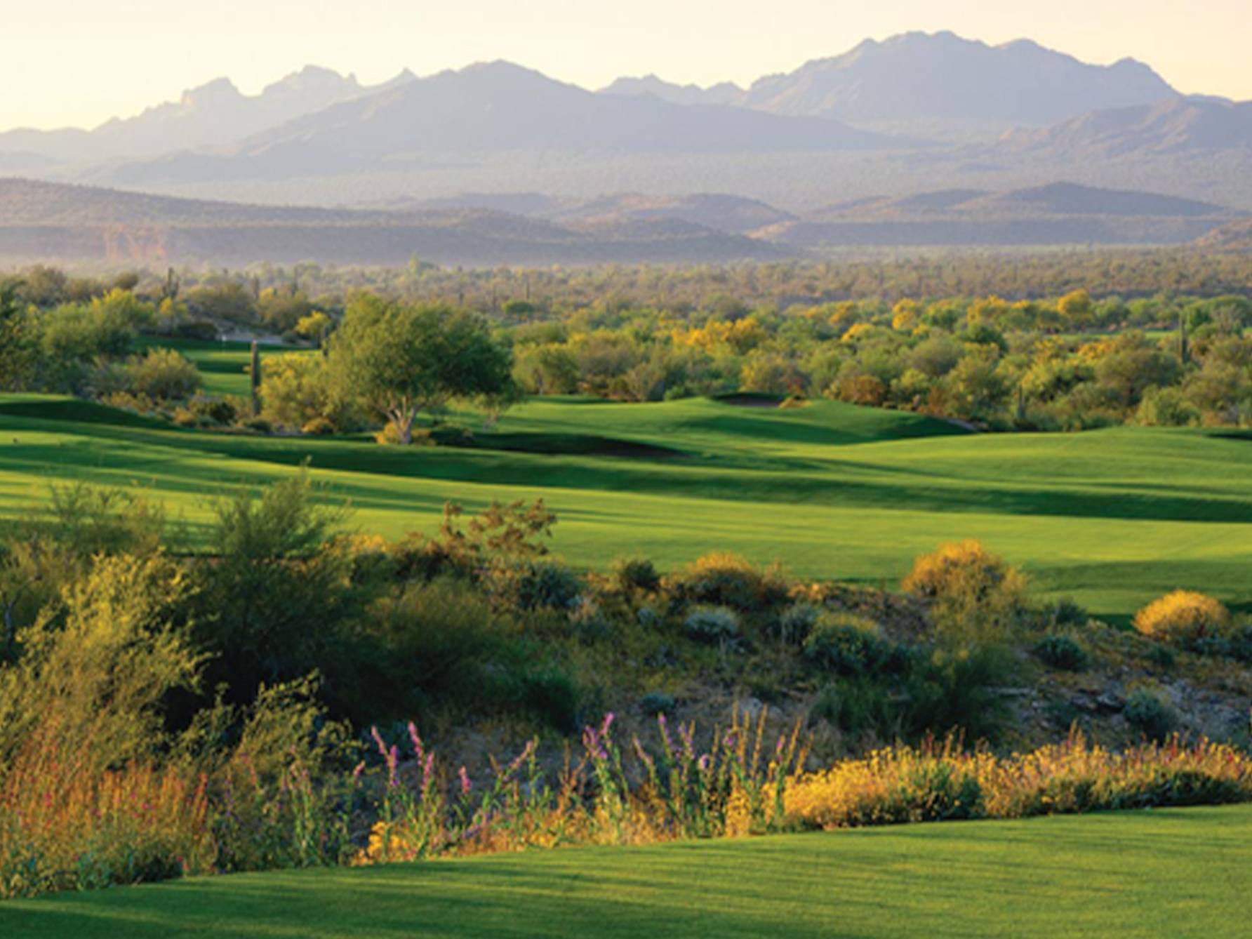 WeKoPa, Cholla Golf Course Review McDowell AZ Meridian CondoResorts