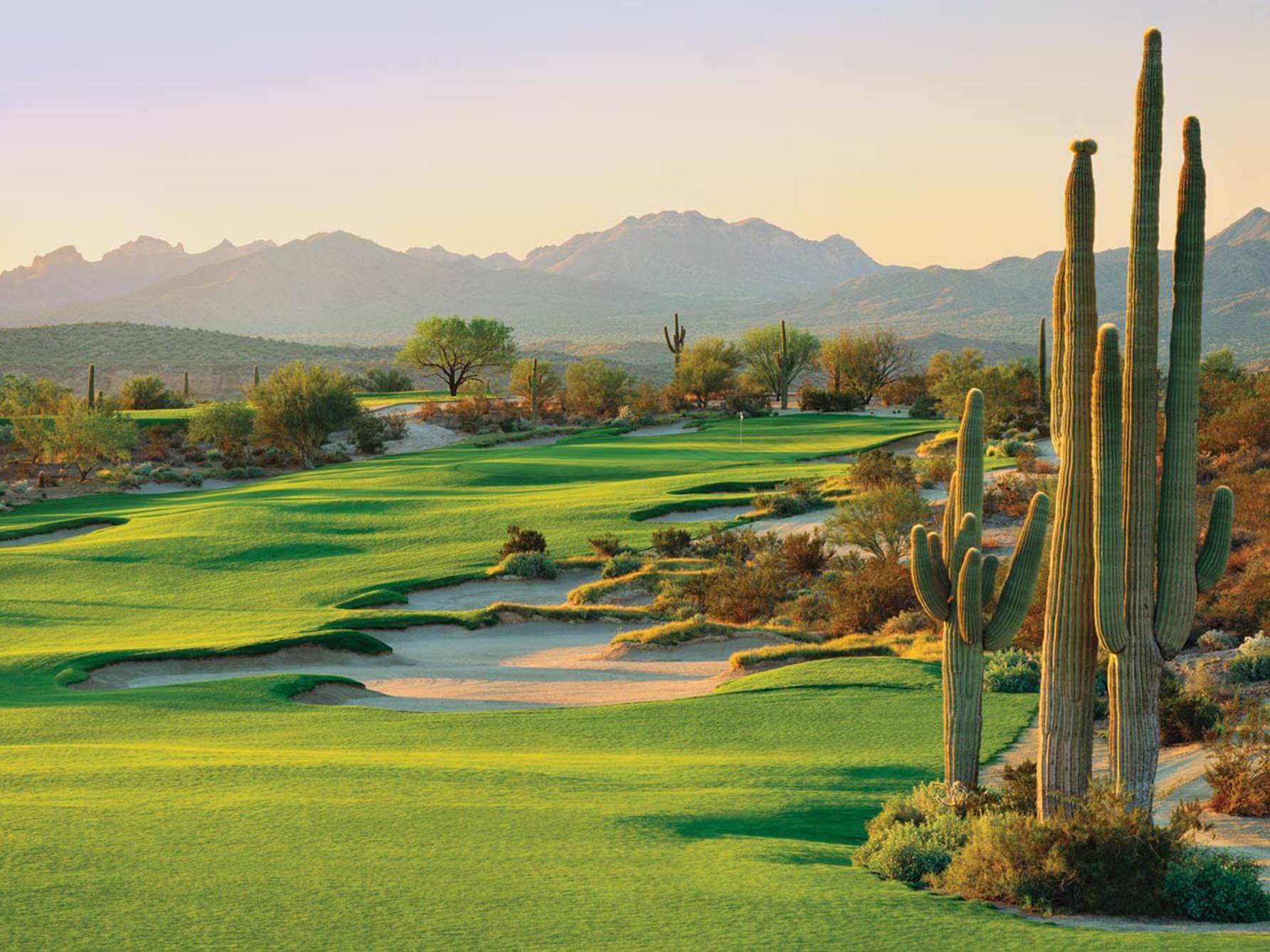 WeKoPa, Saguaro Golf Course Review McDowell AZ Meridian CondoResorts