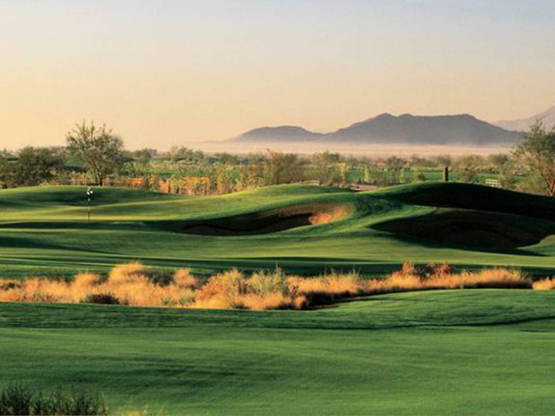 Whirlwind Cattail Course, Phoenix, Arizona Golf course information