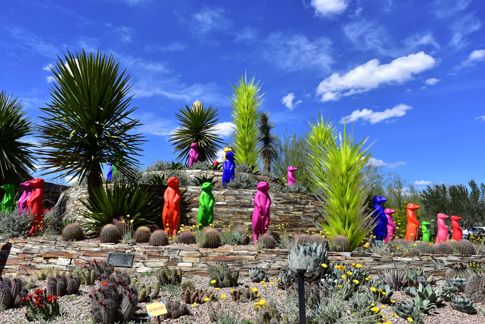 A Beautiful Desert Landscape and Artwork at the Entrance to the Desert Botanical Gardens Under a Deep Blue Sky