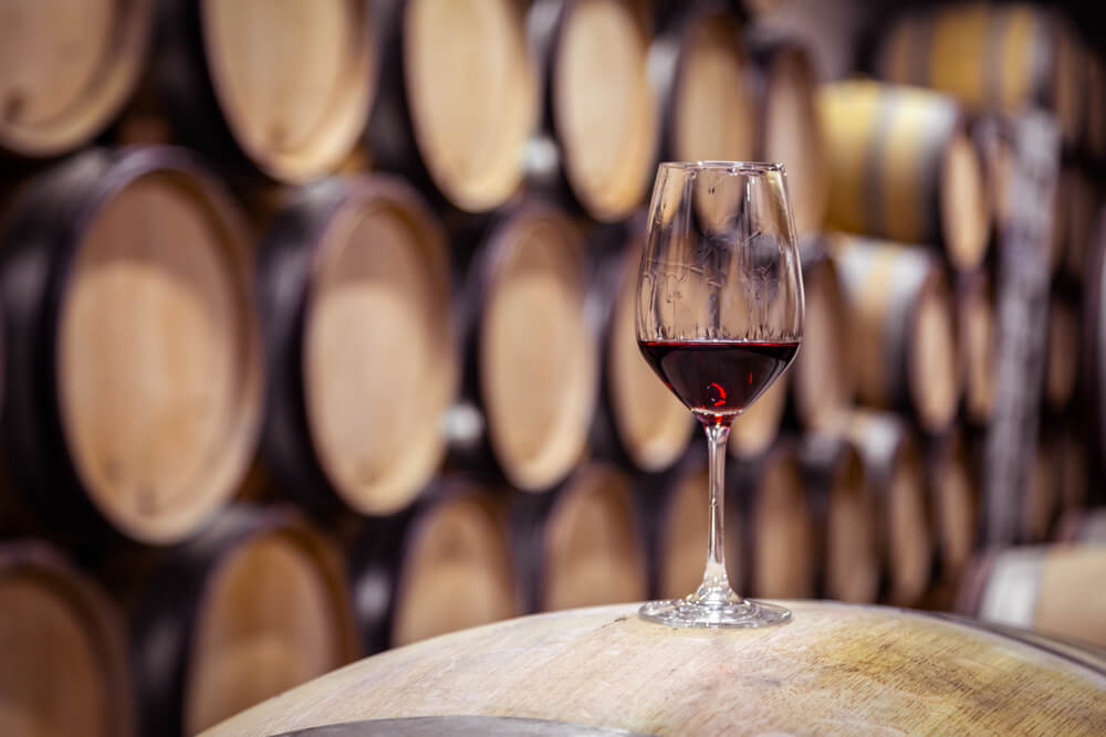 Closeup Red Wine Glass on Background of Wooden Oak Barrels Stacked in Straight Rows in Order in Cellar of Winery, Vault.