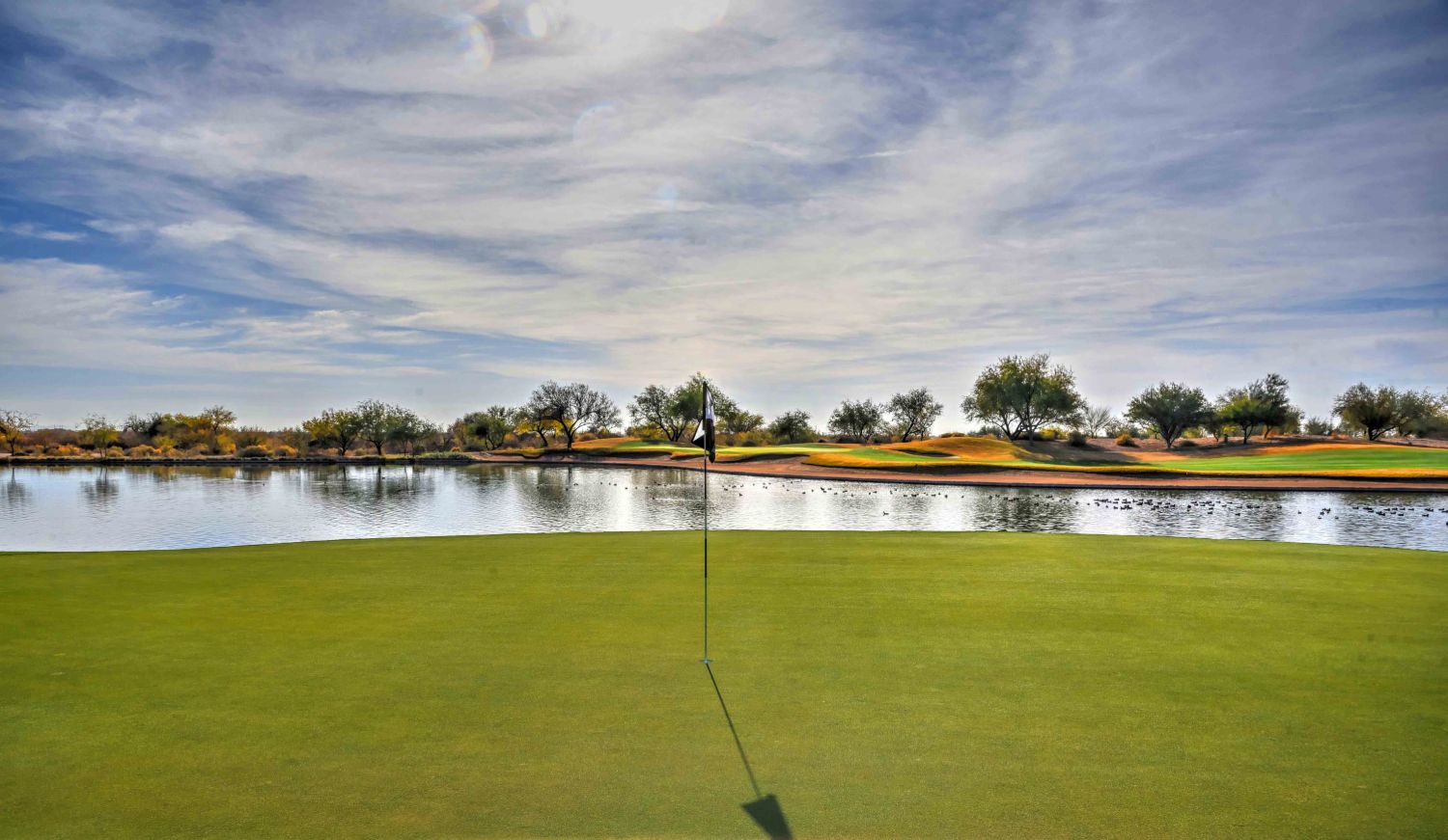 Hole 14 Cattail Green with 4 background small (1)