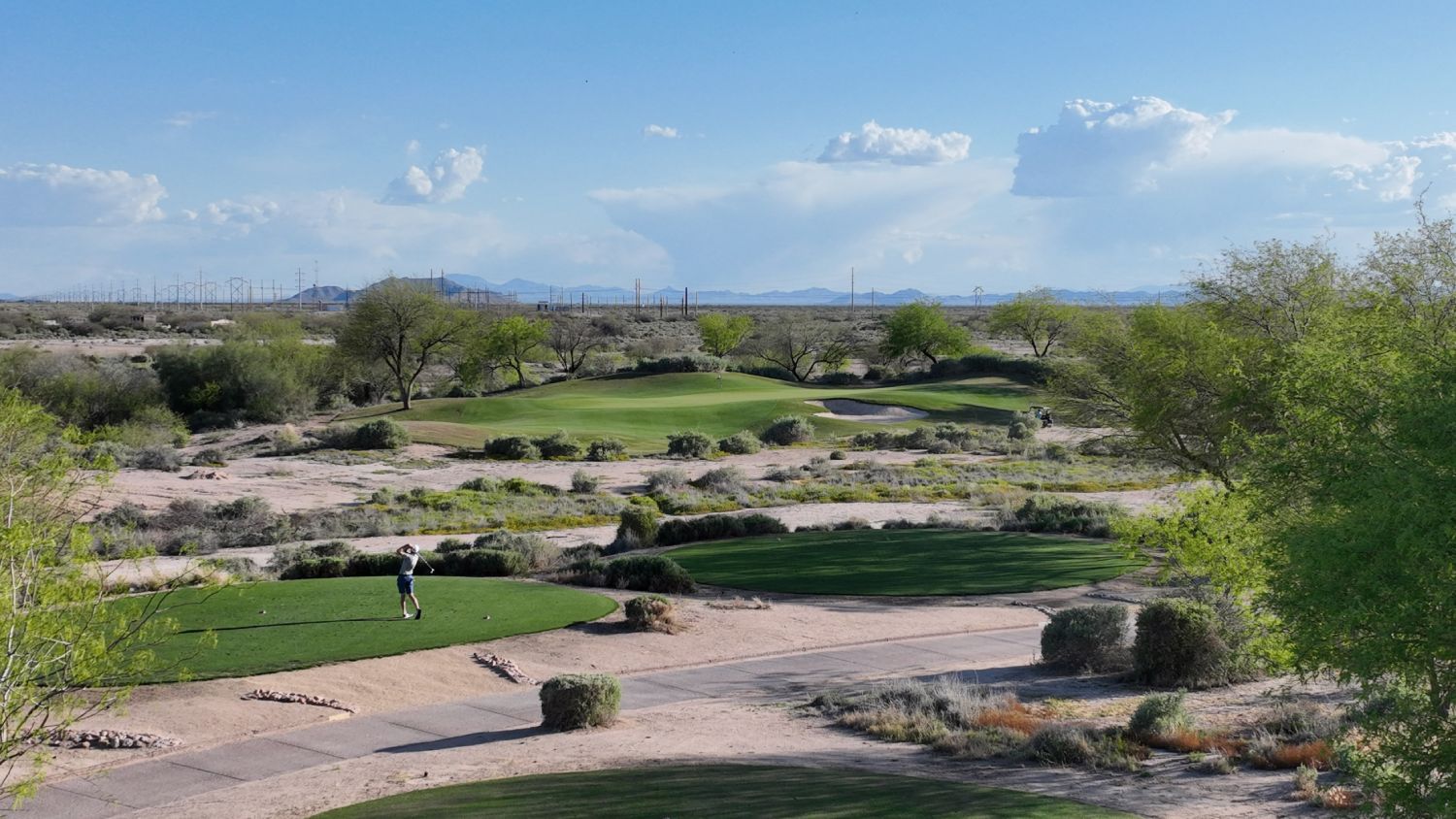 Hole 6 Cattail Golfer (1)