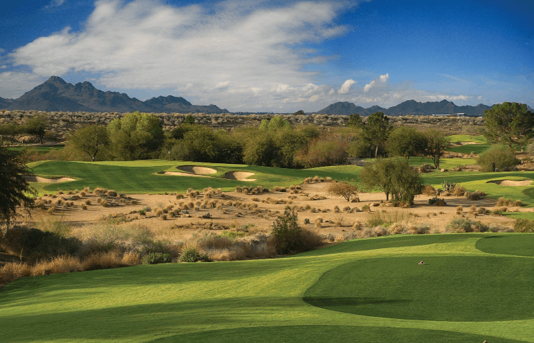 TPC-Champion-4
