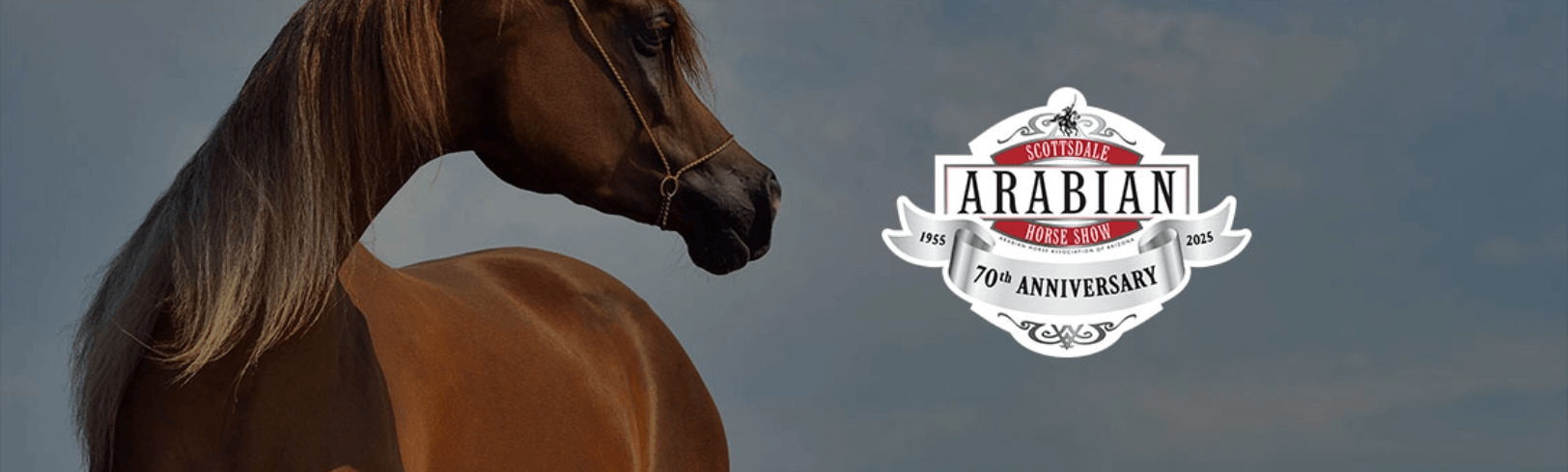 meridianArabian Horse Show