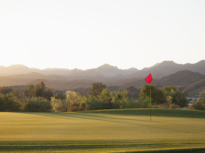 Why Canadians Visit Arizona: The Snowbird Tradition