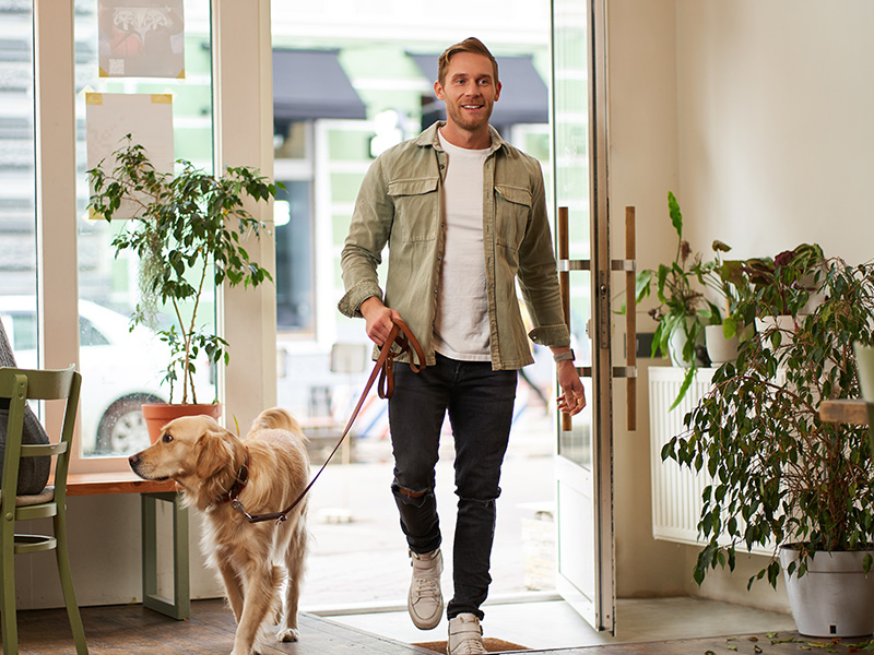Tips for Vacationing with Pets in Scottsdale