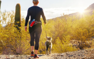 Pet-Friendly Vacationing_ What to Know if You Want to Bring Your Pet to Scottsdale 2