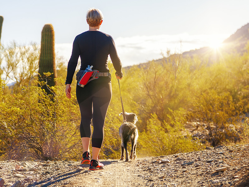 Pet-Friendly Vacationing_ What to Know if You Want to Bring Your Pet to Scottsdale 2