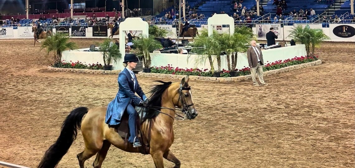 Equestrian in a blue coat riding a brown horse in an indoor show arena, with judges’ area and spectators in the background.