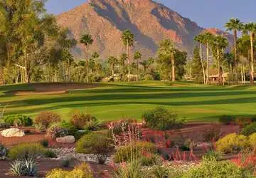 McCormick Ranch Palm