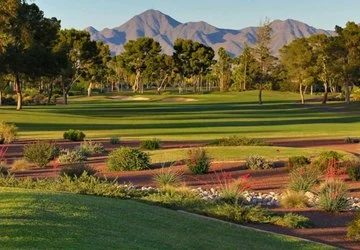 McCormick Ranch Pine