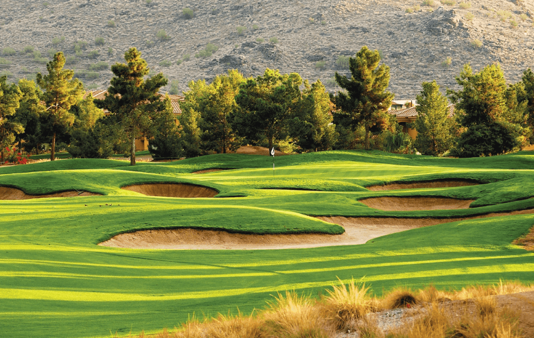 Raven-Golf-Club-Phoenix-5